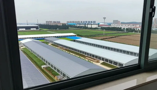 提升业务应用稳定性：系统集成维护的关键实践
